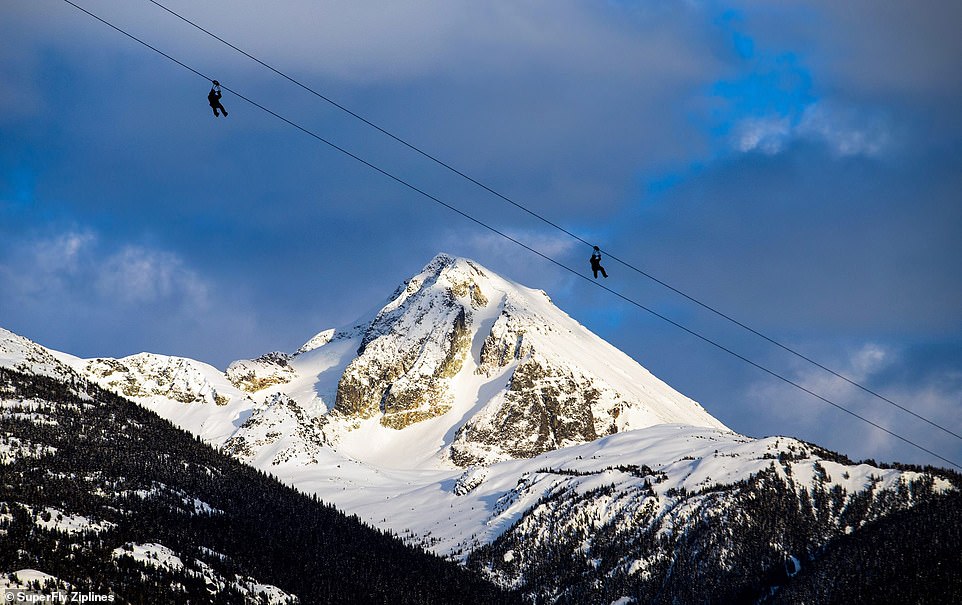 The Closest to Flying You’ll Ever Get: Side-by-side ziplines mean you and a friend can fly through the BC backcountry together