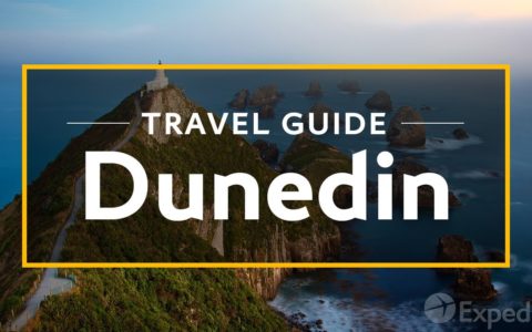 Dunedin Vacation Travel Guide | Expedia