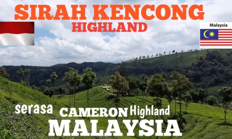 Woo..Macam CAMERON HIGHLAND MALAYSIA SIRAH KENCONG HIGHLAND complete travel Guide