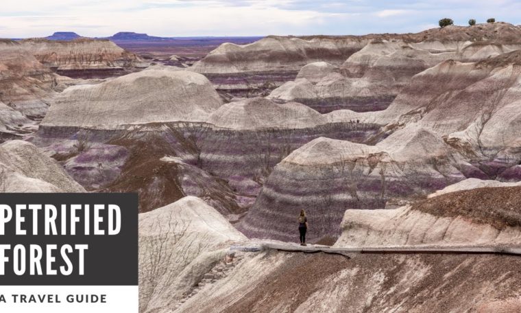 Petrified Forest National Park in Arizona: A One Day Travel Guide