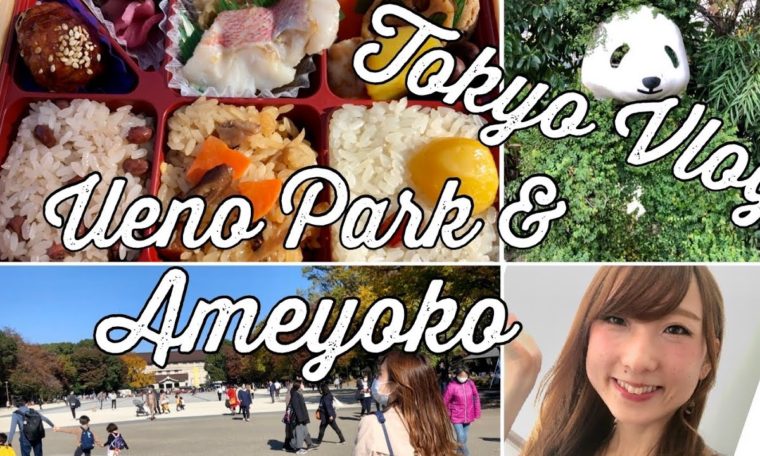 Tokyo Travel Guide | Ueno Park & Ameyoko | Walking Tour | Bento Box Lunch | Cafe | Tokyo Vlog#7