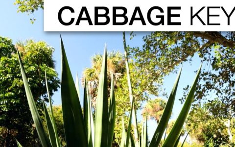 CABBAGE KEY TRAVEL GUIDE