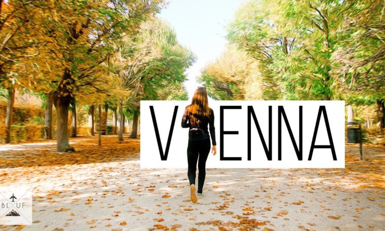 The Most Beautiful Vienna Austria Travel Guide We Could Make