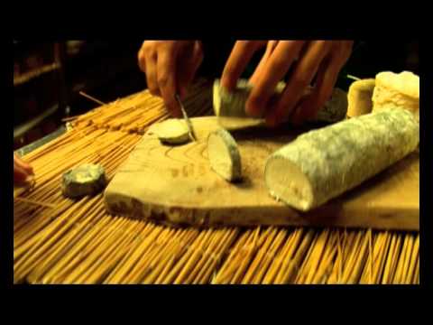 Toulouse Travel Guide