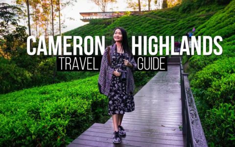 CAMERON HIGHLANDS | Complete Travel Guide  | Travel Malaysia