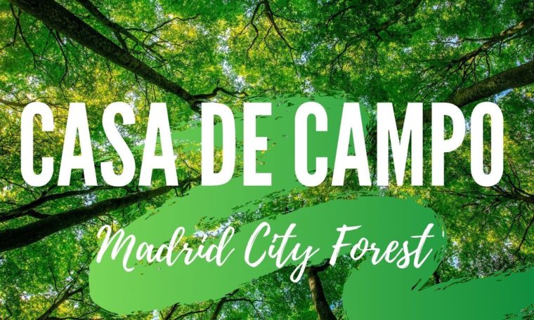 Casa de Campo. Thing to do in Madrid. SPAIN. Travel guide