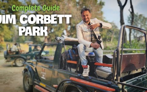 Jim Corbett National Park | Jim Corbett Tour | Jim Corbett Park Travel Guide | Jim Corbett Trip