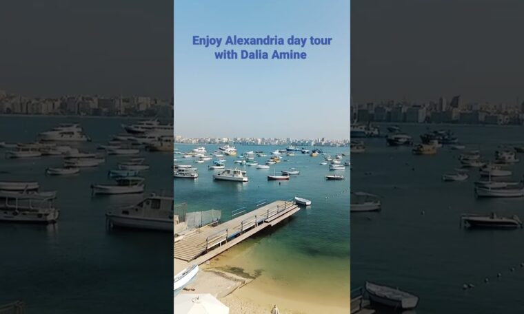 Alexandria day tour with Egypt tour guide Dalia Amine 💌🏖️