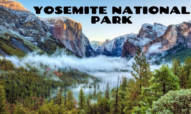 TRAVEL GUIDE: Visiting Yosemite National Park