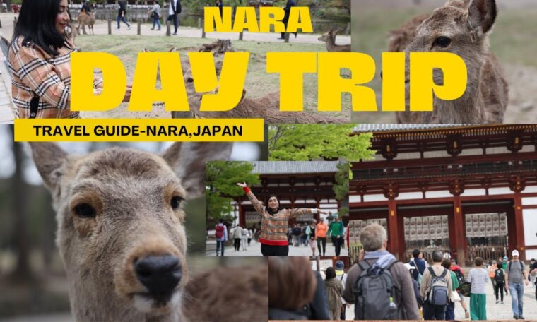 NARA, Japan 🇯🇵 Travel guide 2023 : All you need to know 🌸 || worlds politest deer 🦌 || Nara park..
