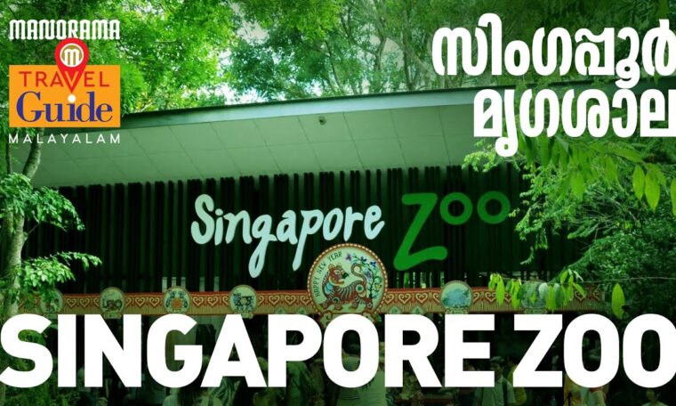 സിംഗപ്പൂർ മൃഗശാല | Singapore Zoo | Explore Singapore | M M Travel Guide