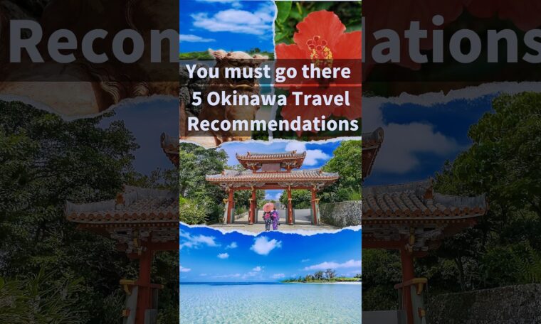 【Japanese Travel Guide】Japan Okinawa Travel Guide #shorts