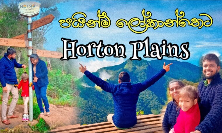 Horton Plains National Park Sri lanka🌸World's end | Full Travel Guide✔ - මහ වැස්සේ පයින්ම ලෝකාන්තෙට🌏